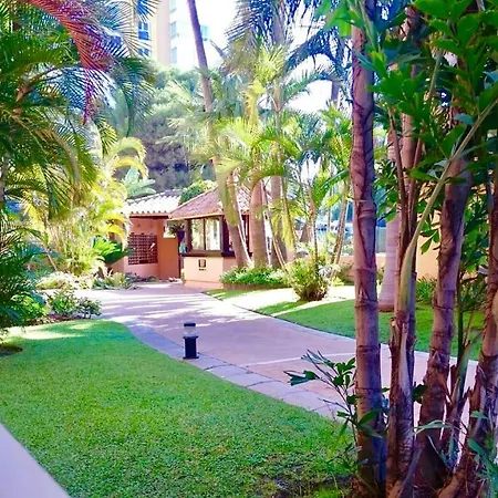 Alicate Beachfront - Luxury Apartment-2 *