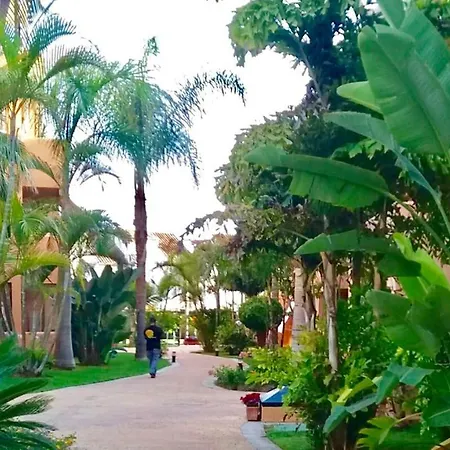 Alicate Beachfront - Luxury Apartment-2 Daire