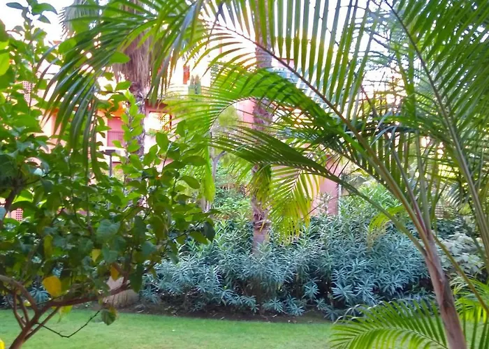 Alicate Beachfront - Luxury Apartment-2