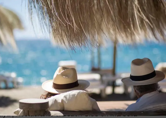 Alicate Beachfront - Luxury Apartment-2 *