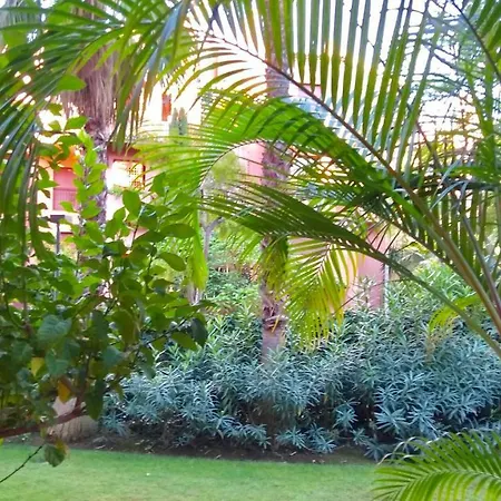 Alicate Beachfront - Luxury Apartment-2